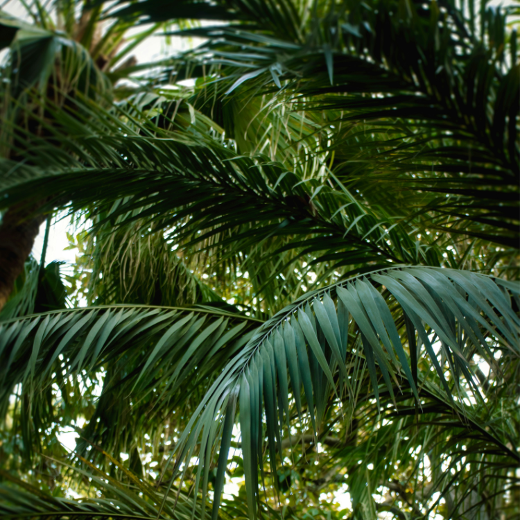 Natur und Kultur bei farol-stay