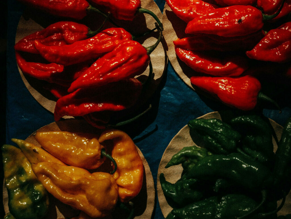 Pimenta fresca aus Brasilien