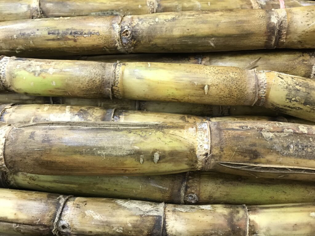 Rohrzucker aus Brasilien